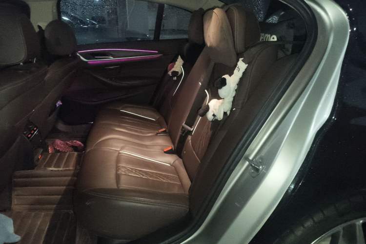 Used BMW 5 Series New Energy 2020 Mileage Upgrade Version 530Le Luxury Package Left Rear Seat