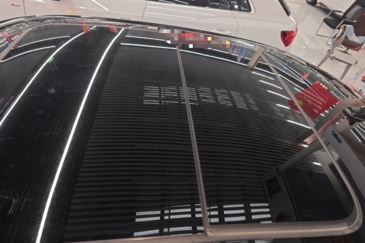 Used Volkswagen Magotan 2020 330TSI DSG Luxury Edition Roof