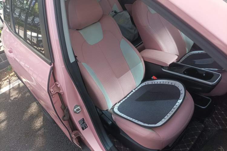 Used NETA V 2021 Witch Edition