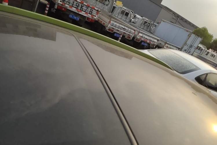 Used Geometry EX3 Kung Fu Cow 2021 Kungfu NiuNiu Roof