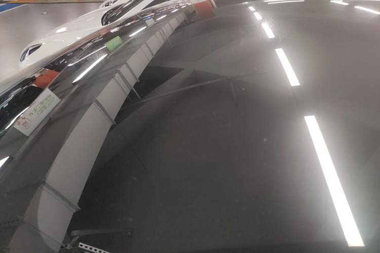 Used Tesla Model Y 2025 Rear-Wheel-Drive Version Roof