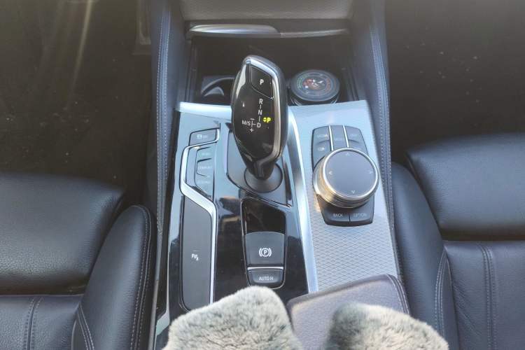 Used BMW 5 Series (Import) 2019 525i M Sport Package