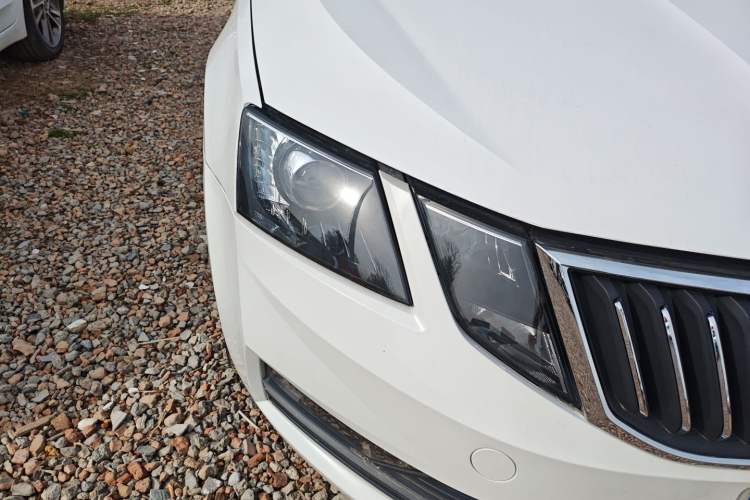 Used Skoda Octavia 2019 1.5L Automatic SmartDrive Comfort Edition China V Standard Right Front Headlight