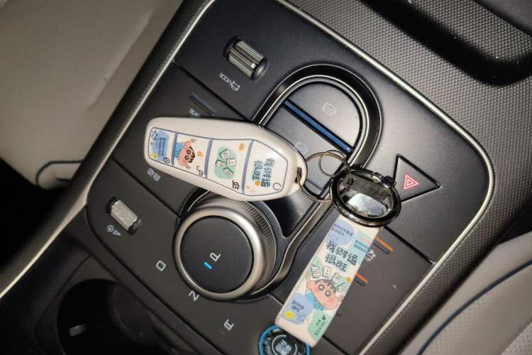 Used BYD Destroyer 05 2024 Honor Edition DM-i 120KM Luxury Model Vehicle Key