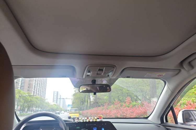 Used AION S 2022 Meizu 580 Pio Headliner