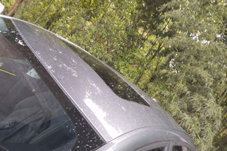 Used Roewe i5 2021 1.5L CVT Platinum Edition Roof