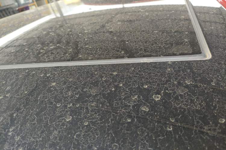 Used Audi Q2L 2021 35 TFSI Fashionable and Elegant Model Roof