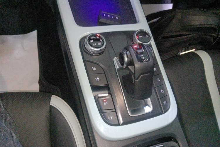 Used Tank 300 2021 City Edition 2.0T—Truly Stylish
