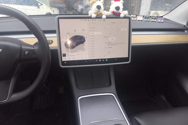 Used Tesla Model Y 2022 Rear-Wheel-Drive Version