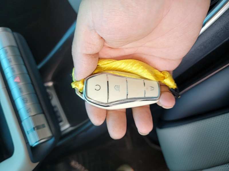 Used BYD Dolphin 2021 405 km Fashion Edition — 8