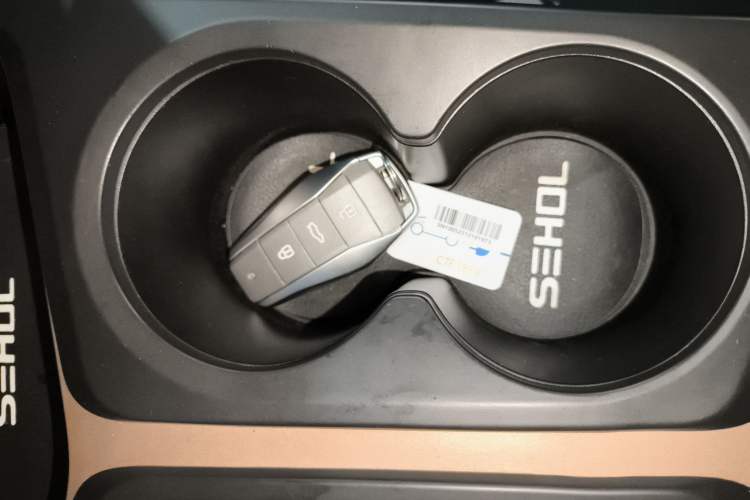 Used SOL E10X 2023 Anniversary Edition 301km Starry Sky 45kW