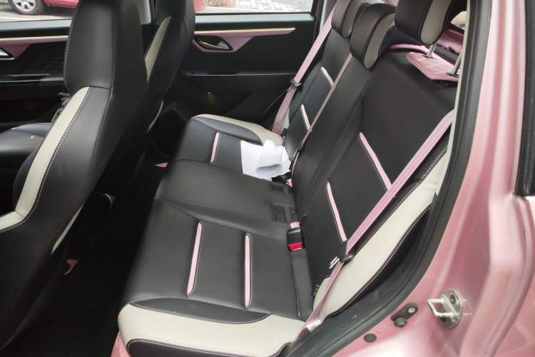 Used SOL E10X 2022 Flower Fairy Style Baby's Breath