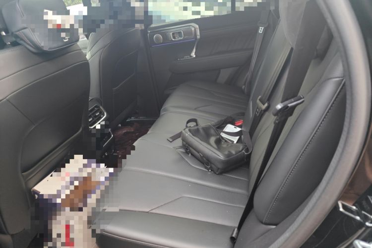 Used Tank 400 New Energy 2024 Hi4-T City Edition Left Rear Seat