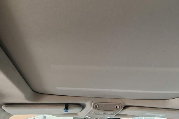 Used Ford F-150 Raptor 2019 3.5T LTD Headliner