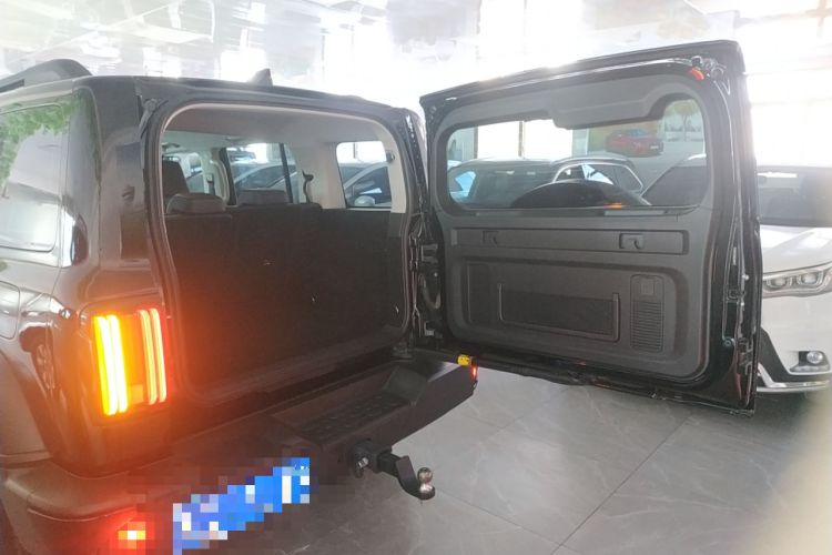 Used Tank 300 2024 2.0T Conqueror