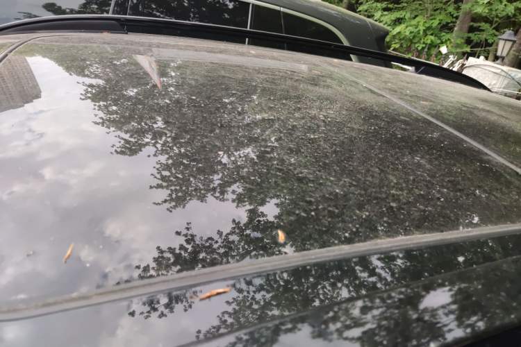 Used Lynk & Co 01 2023 1.5TD EM-F PM Roof