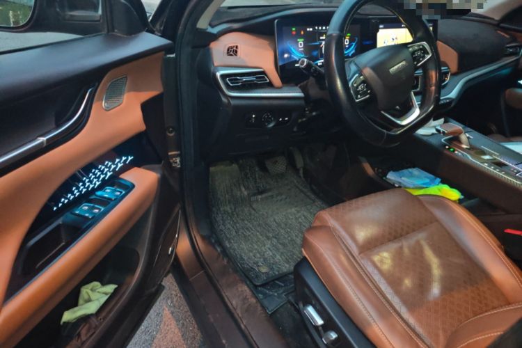 Used Chery New Energy eQ5 2020 High-Energy Pro Edition Driver Seat