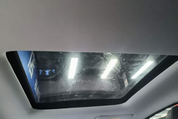 Used Leapmotor T03 2021 400 Luxury Edition Headliner