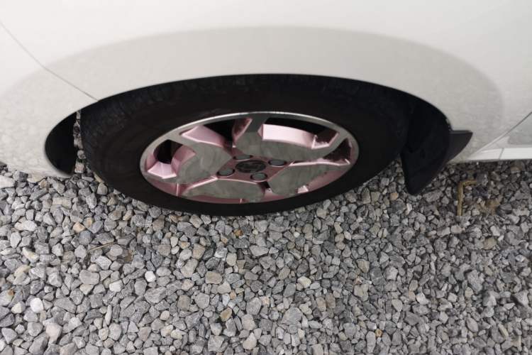 Used SOL E10X 2022 Flower Fairy Design Sunflower Exterior 4