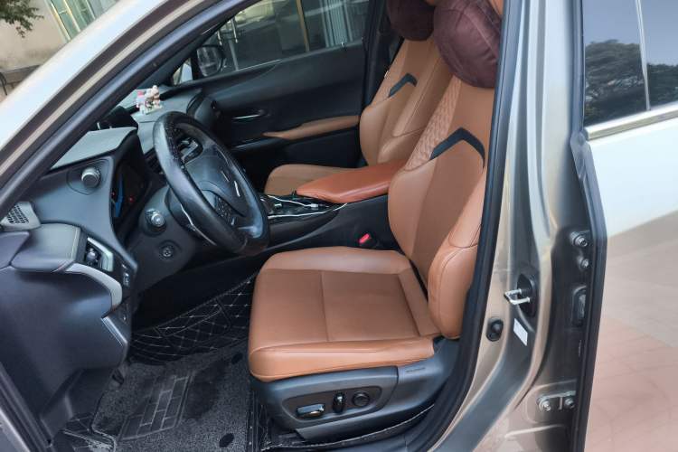 Used Lexus UX New Energy 2020 300e Pure·Joy Edition
