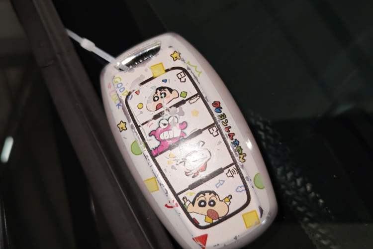 Used Haval DARGO 2024 1.5T DCT Border Collie Edition