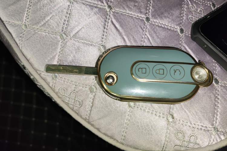 Used Wuling Hongguang MINIEV 2022 Macaron Fashion Edition Lithium-Nickel-Cobalt-Alpha-oxide Vehicle Key