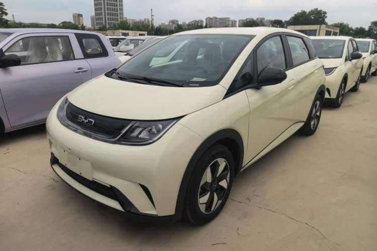 Used BYD Dolphin 2025 420km Free Edition