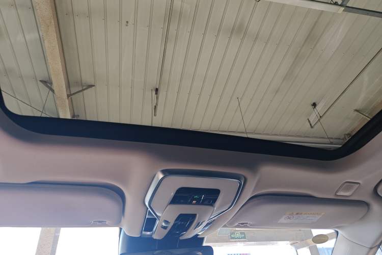 Used Hongqi H9 2020 2.0T Smart Connect Flagship Edition Headliner
