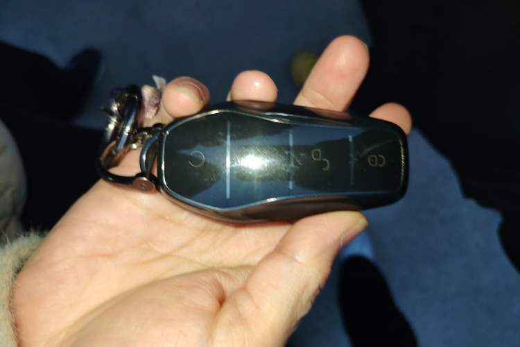 Used BYD Dolphin 2023 420 km Fashion Edition
