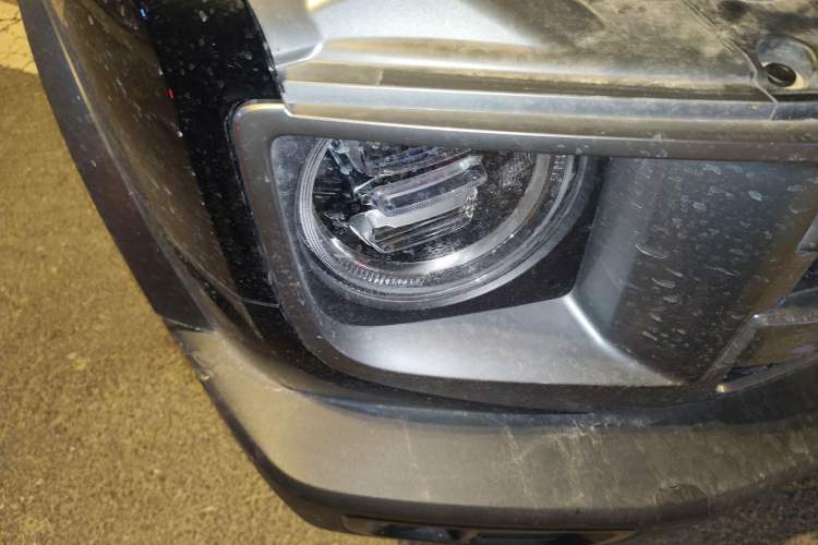 Used Haval DARGO 2024 2.0T DCT Chinese Rural Dog Edition
