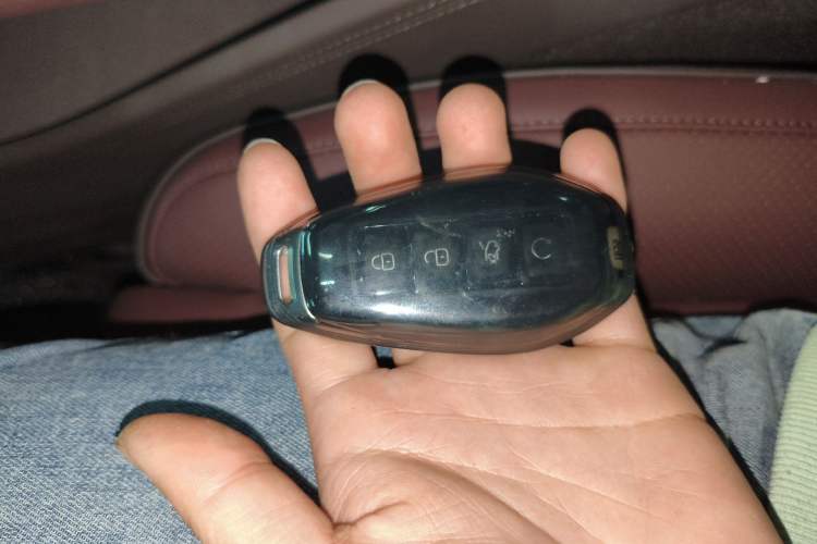 Used Denza Z9GT 2024 1100 4x4 Pro Version
