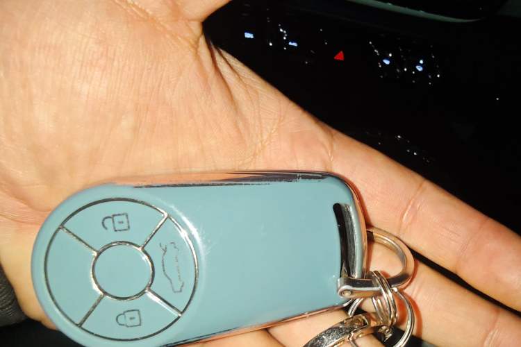 Used ORA Ballet Cat 2022 401 km Alice Edition
