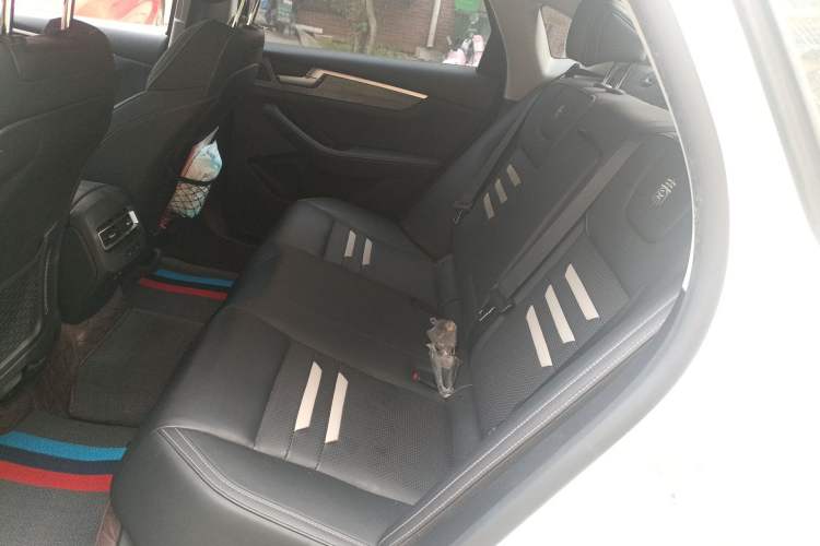 Used BYD Qin Pro New Energy 2019 EV Super Edition High-Power Long-Range Smart-Connected Cutting-Edge Model Left Rear Seat