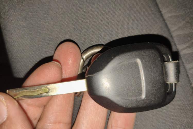 Used ORA Black Cat 2021 301 km Basic Version