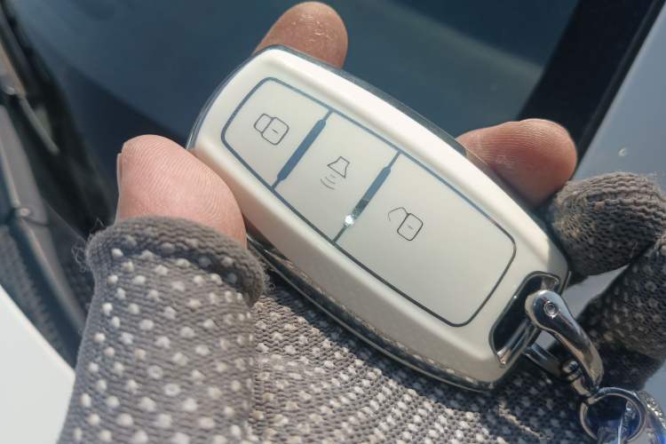 Used Haval H6 Coupe 2019 1.5T Automatic Two-Wheel Drive Elite Version China V Standard