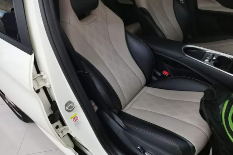 Used BYD Dolphin 2023 420 km Fashion Edition Right Front Seat