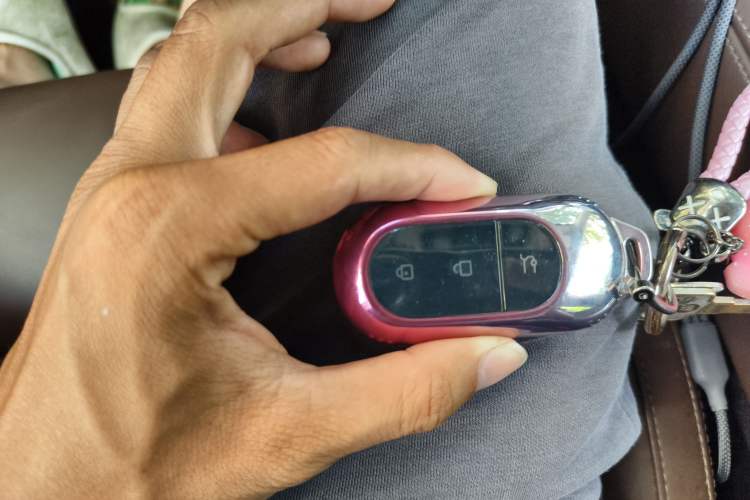 Used Leapmotor C11 2023 Pure Electric 500 Comfort Edition