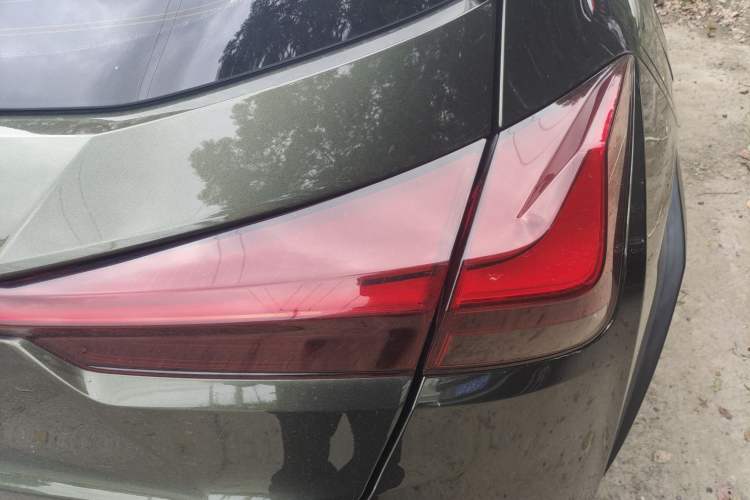 Used Lexus UX New Energy 2020 300e Pure·Joy Edition Exterior 6