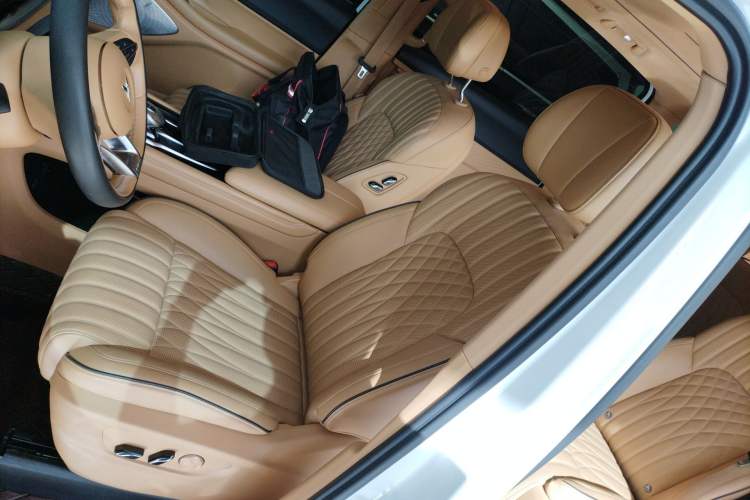 Used VOYAH Dream 2022 Low-Carbon Edition Dream+ Smart Enjoyment Package Left Front Seat