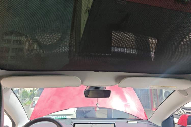 Used Tesla Model 3 2022 Rear-Wheel-Drive Version Headliner