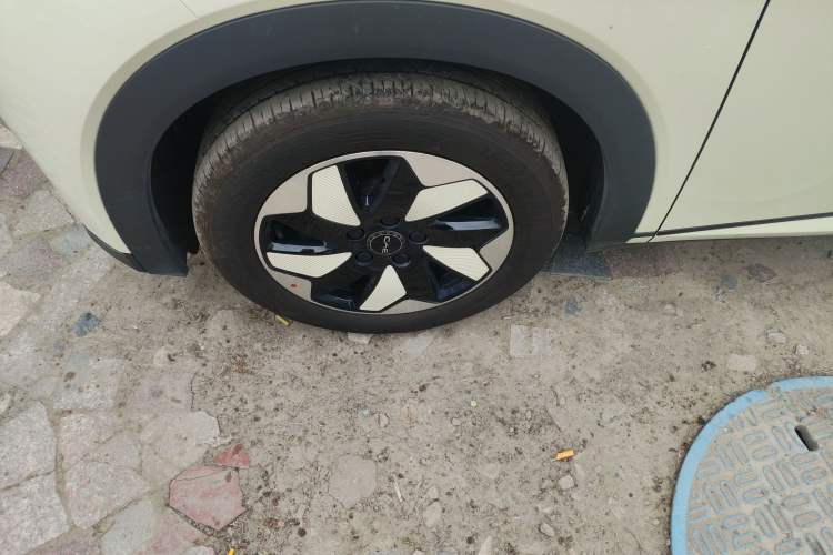 Used BYD Dolphin 2025 420km Free Edition
