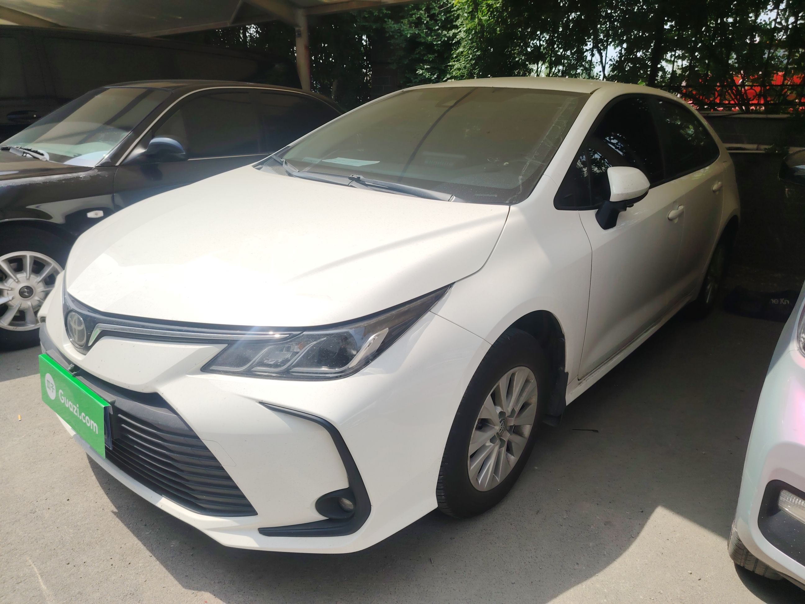 Parte inferior delantera