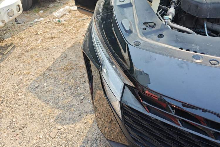 Used Venucia V 2022 260T Black Horse Edition · Idol
