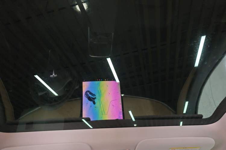 Used Tesla Model Y 2021 Standard Range Rear-Wheel Drive Version Headliner