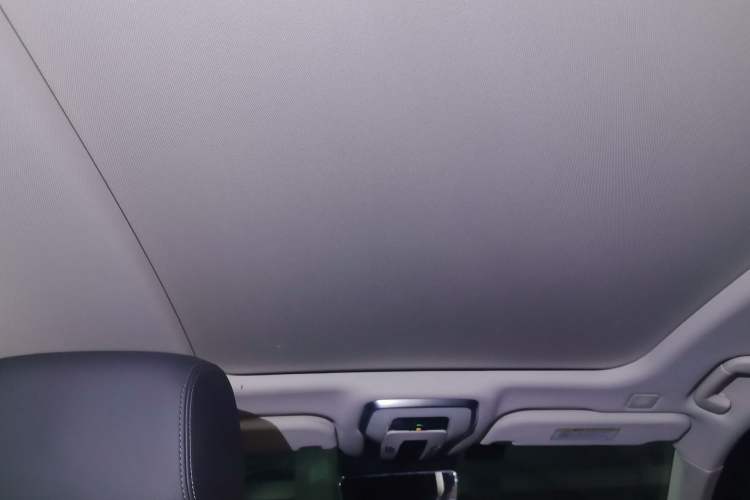 Used Hongqi H9 2020 2.0T Smart Connect Flagship Edition