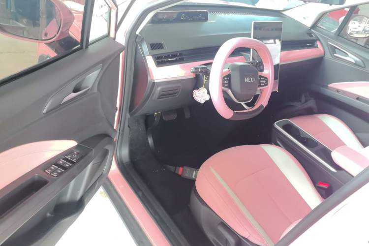 Used NETA V 2021 Witch Edition