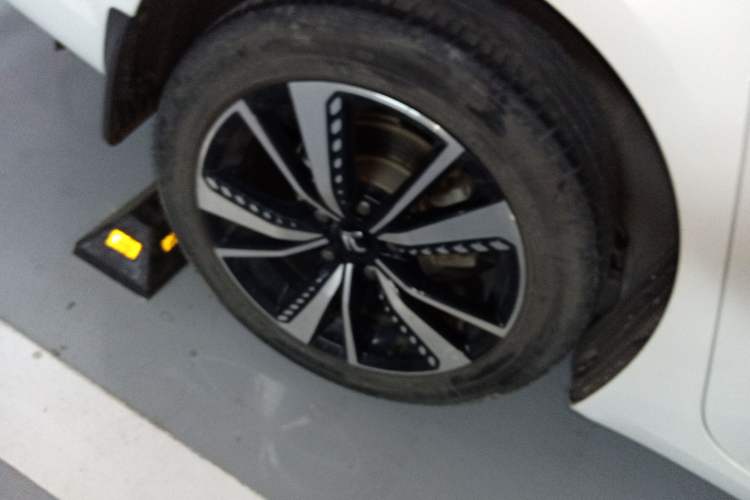 Used Rising ER6 2020 620 km Smart Drive Version