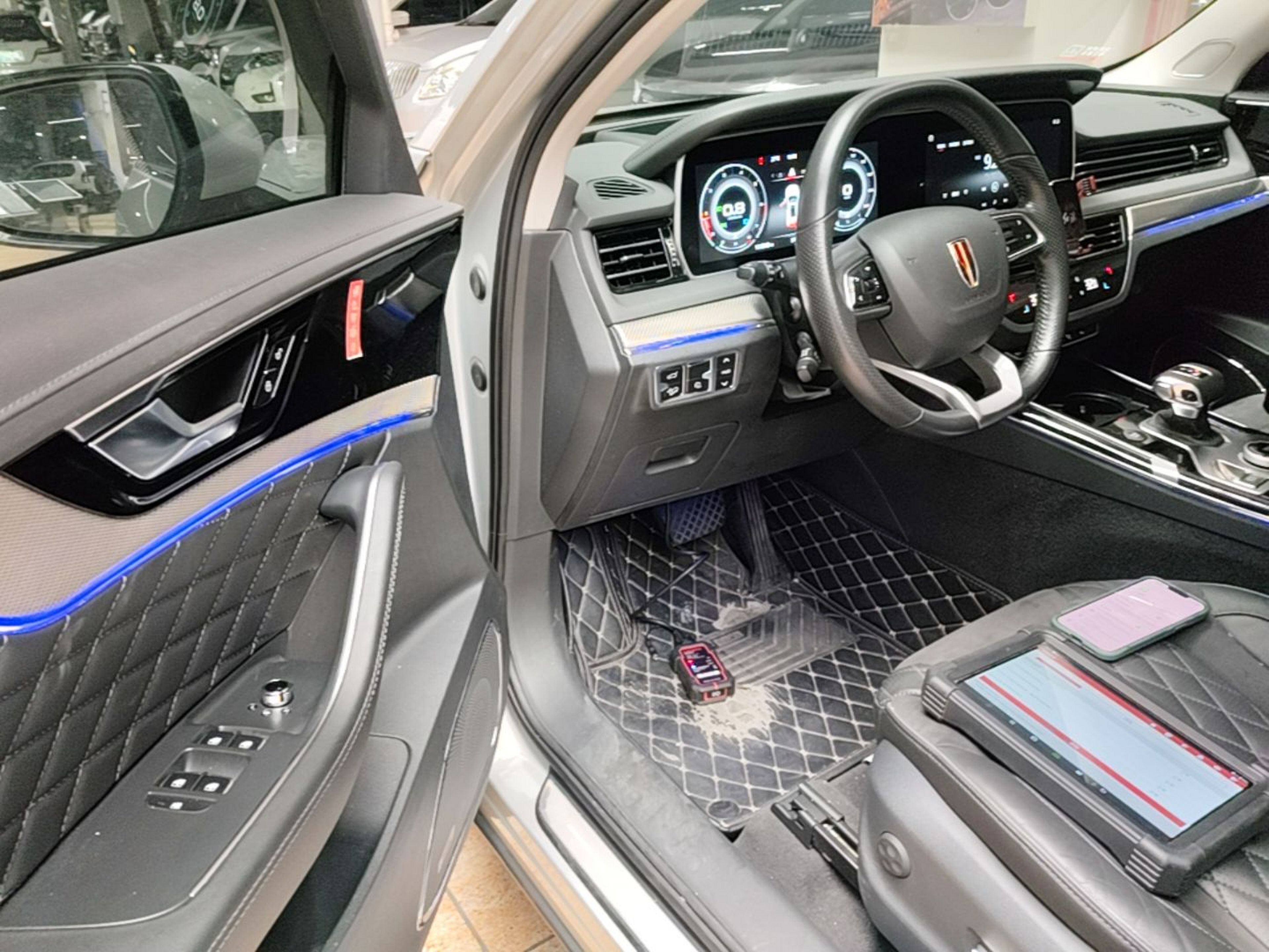 Interior delantero