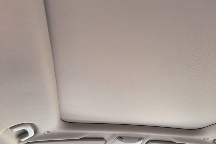 Used BMW X1 2023 sDrive25Li X Design Package Headliner