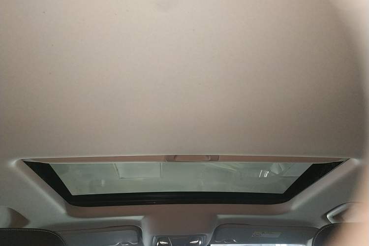 Used Tank 300 2024 2.0T Conqueror